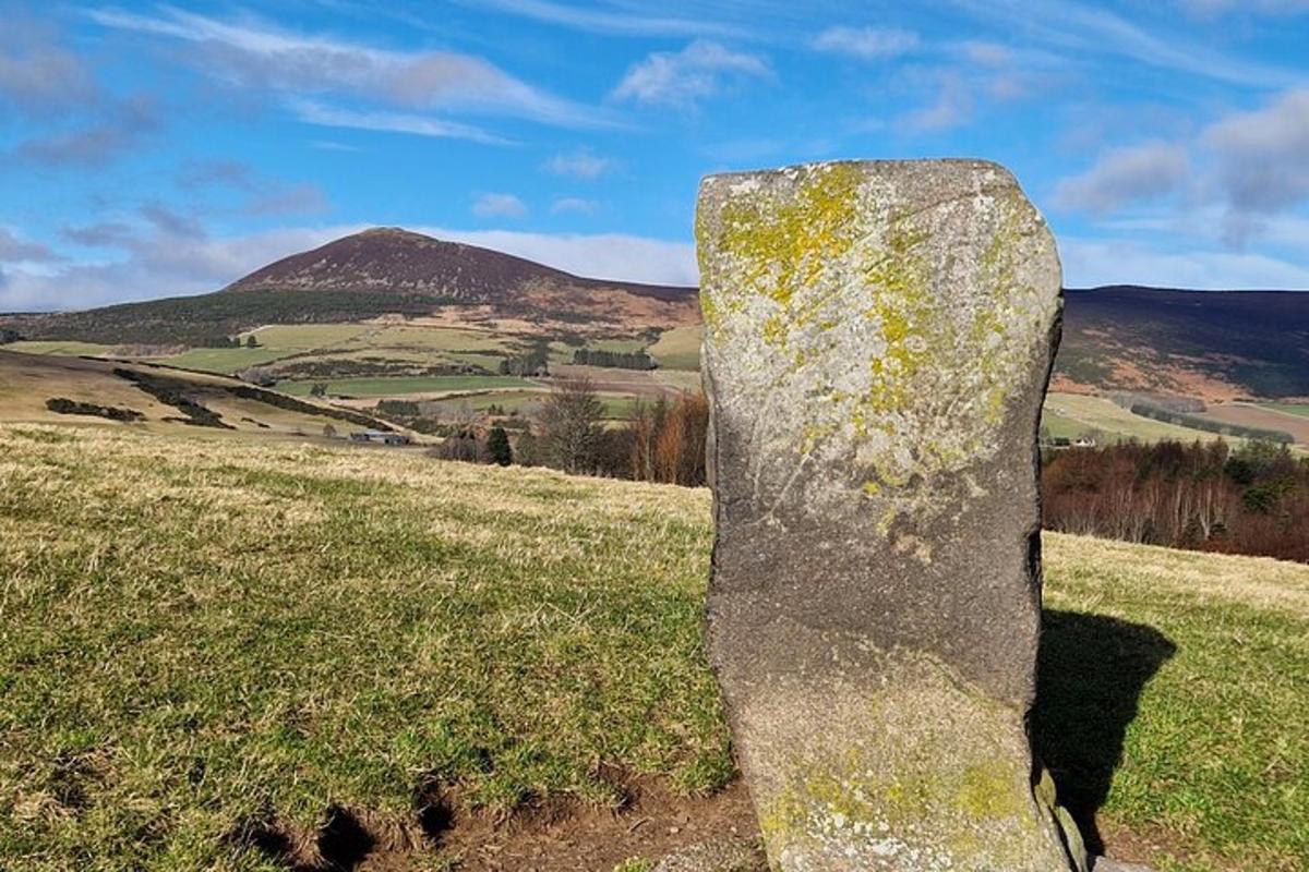 una roccia in un campo con una montagna sullo sfondo
