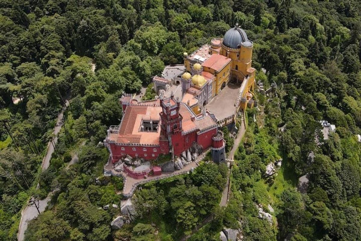 veľký dom na vrchole kopca v lese
