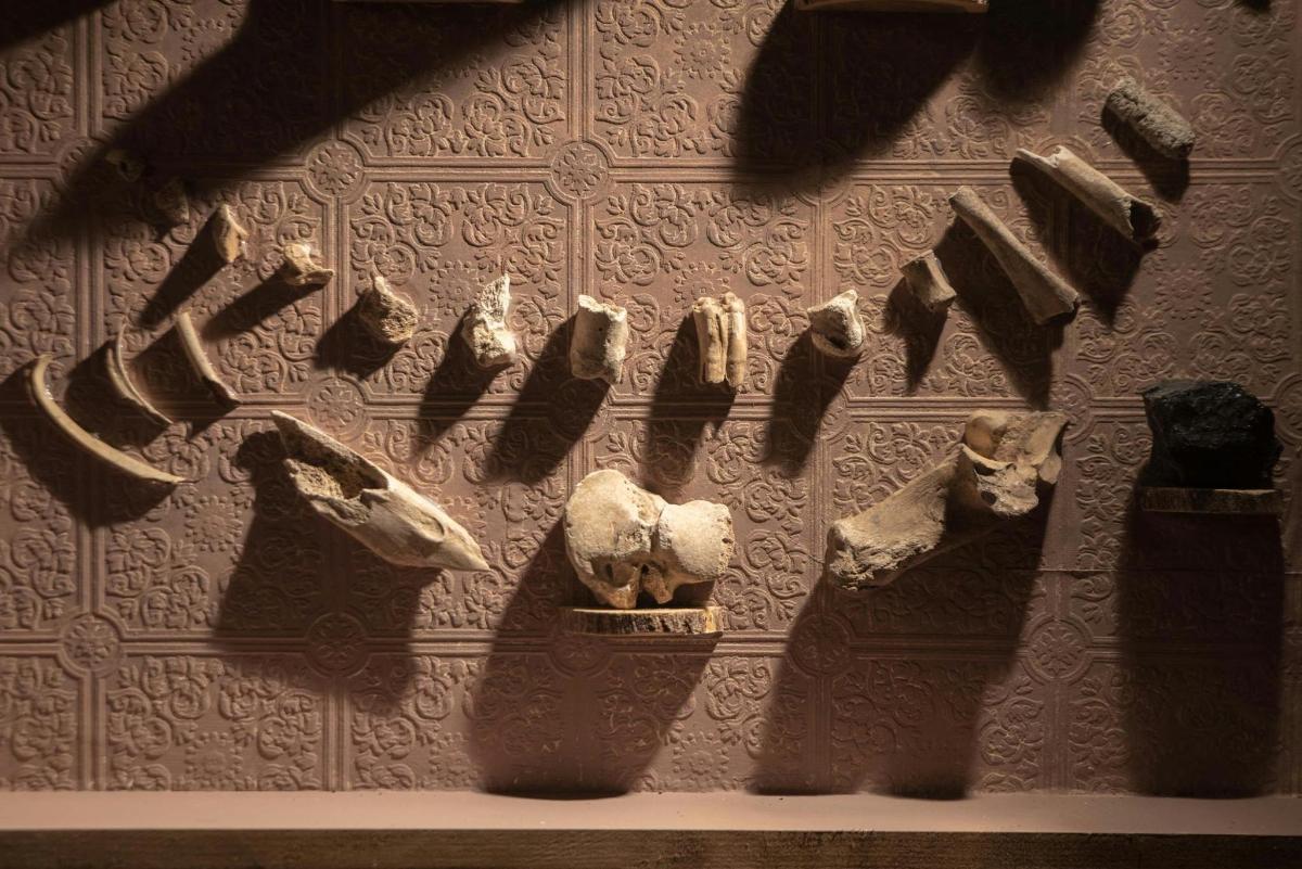 una paret amb un munt d'artefactes
