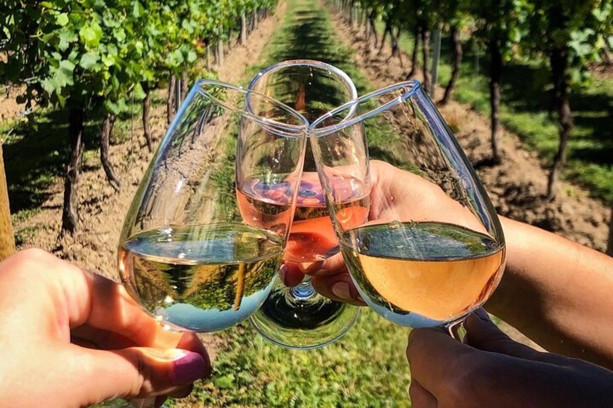 dva človeka držita kozarce za vino pred vinogradom