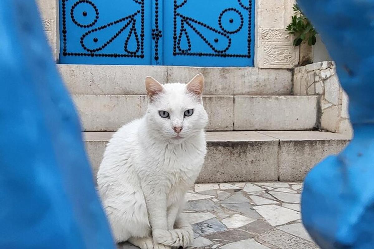 Turistik nokta fotoğrafı 1