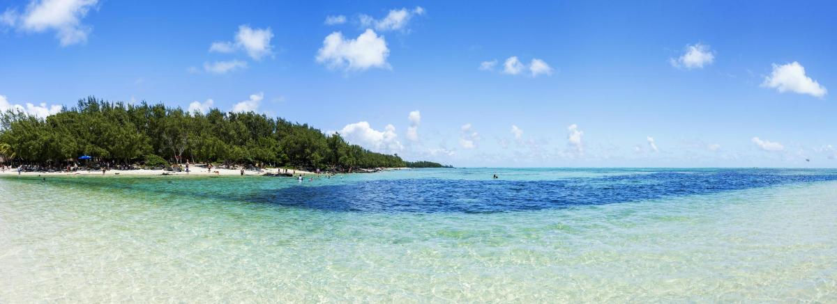 a beach with a group of people in the water