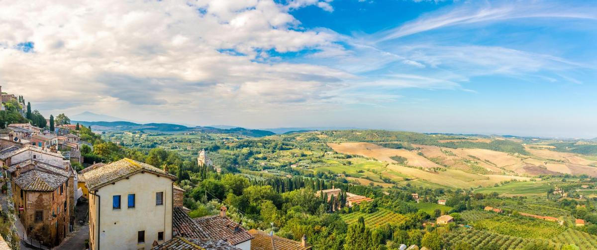 uma vista de uma cidade em um vale com árvores