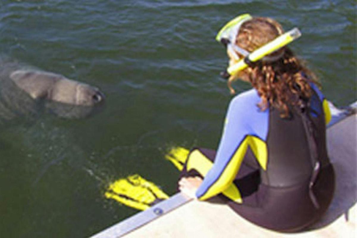 una donna seduta su una barca che guarda un pesce nell'acqua
