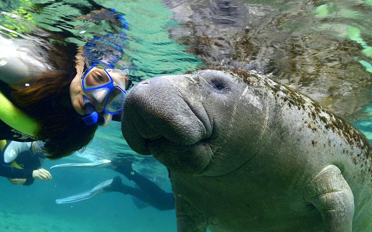 una donna con gli occhiali che nuota nell'acqua