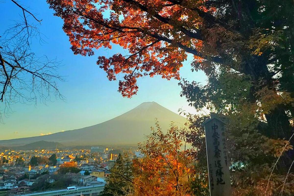 a view of a mountain with a city and trees