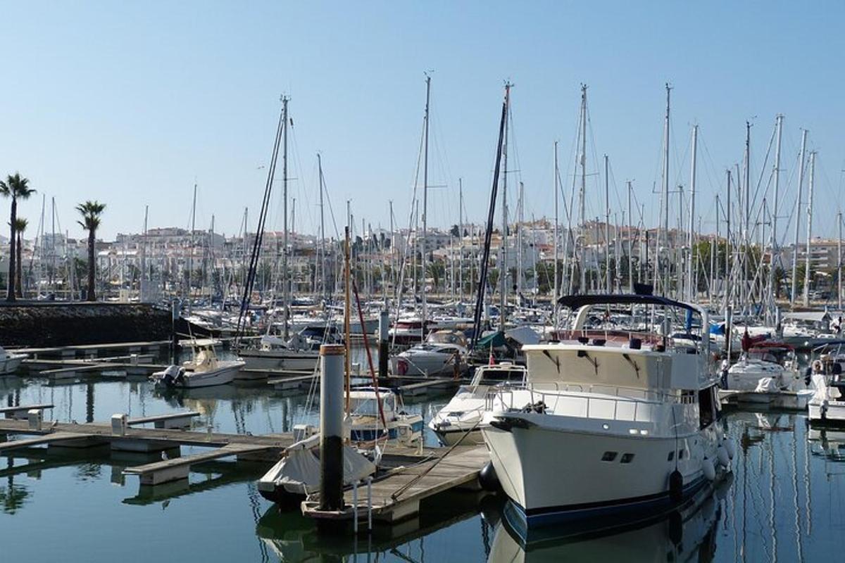 a bunch of boats docked in a harbor