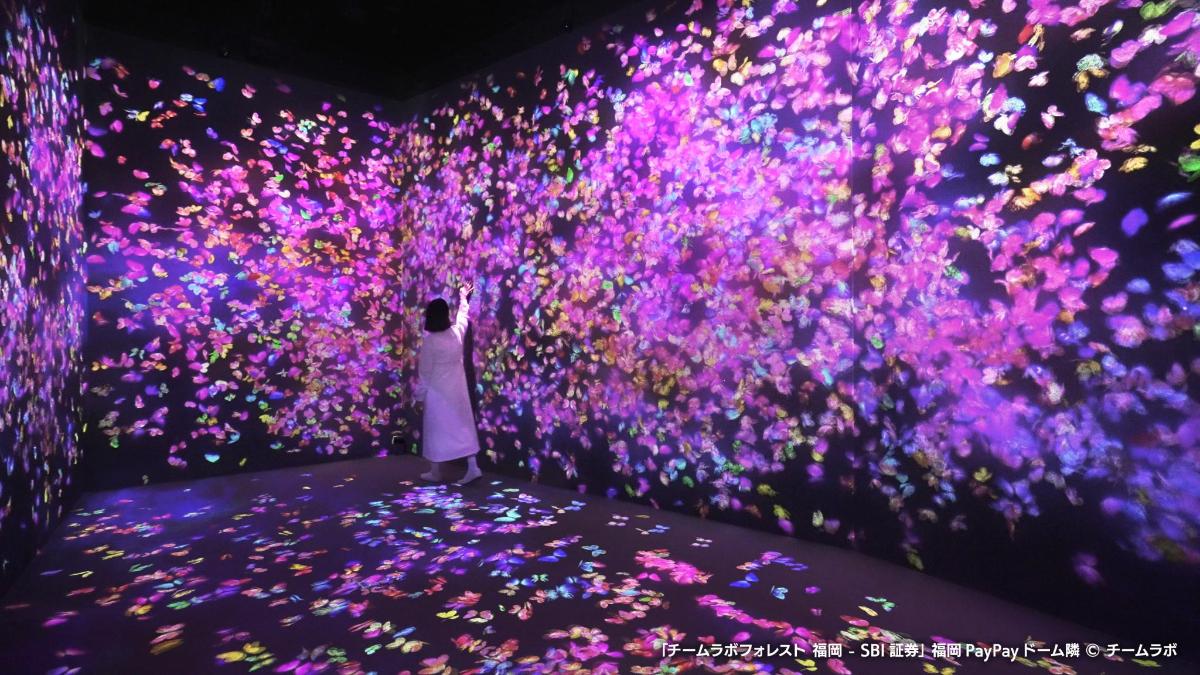 a person standing in front of a wall of purple flowers