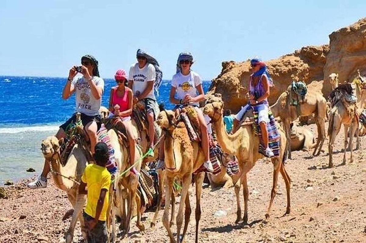 sekelompok orang menunggangi unta di pantai