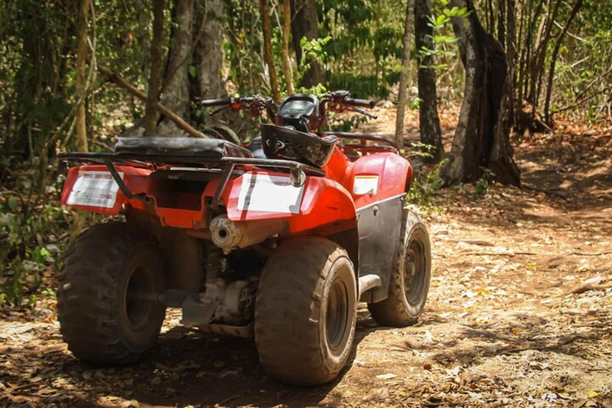 Ένα κόκκινο ATV παρκαρισμένο σε ένα μονοπάτι στο δάσος