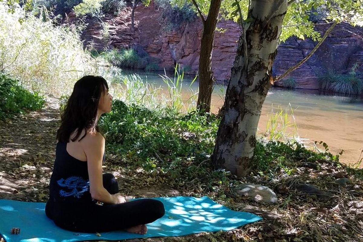 una mujer sentada sobre una manta junto a un árbol