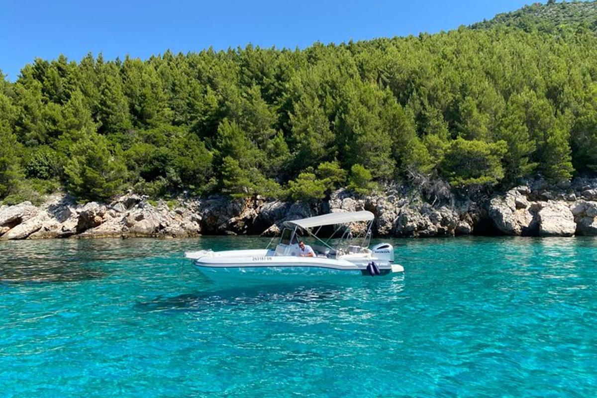 un vaixell blanc a l'aigua al costat d'un bosc
