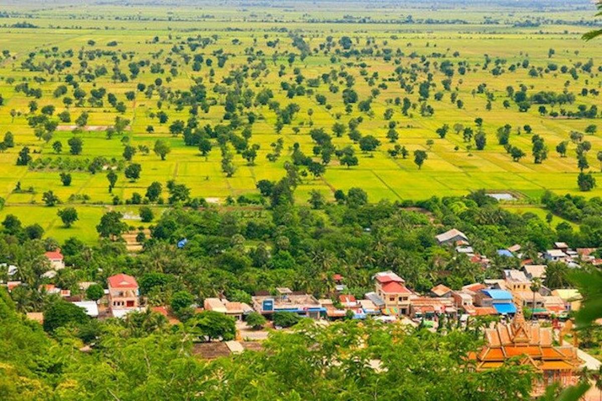 một thị trấn nhỏ trên một cánh đồng có cây cối và nhà cửa
