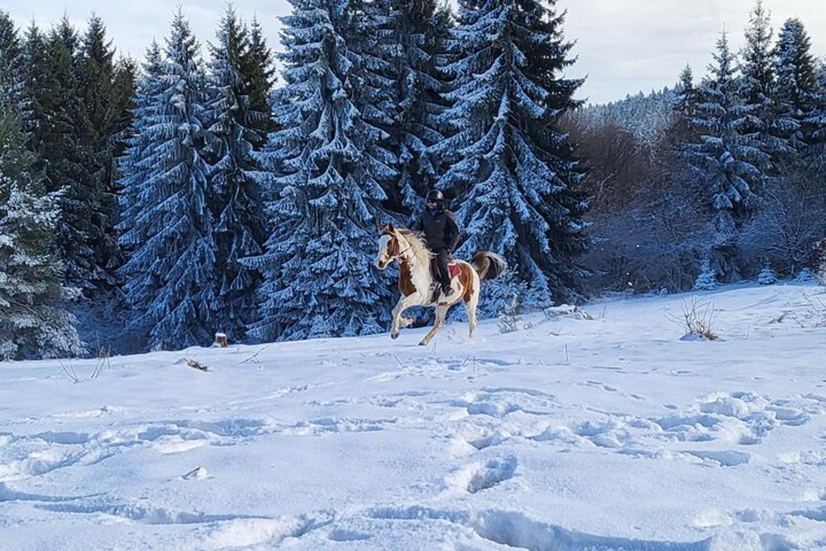 7. apskates objekta attēls