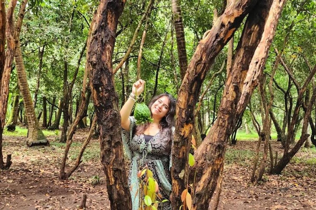 una donna in piedi tra due alberi in una foresta