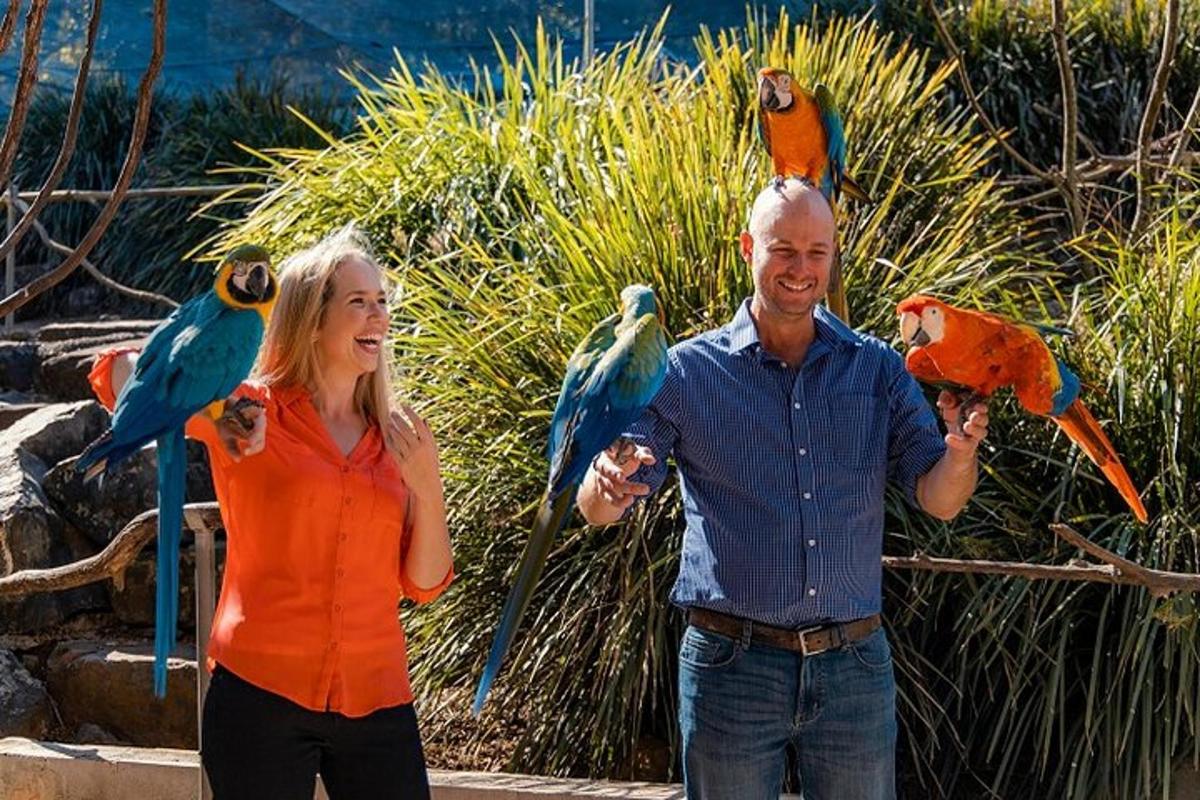 a man and a woman standing in front of parrots