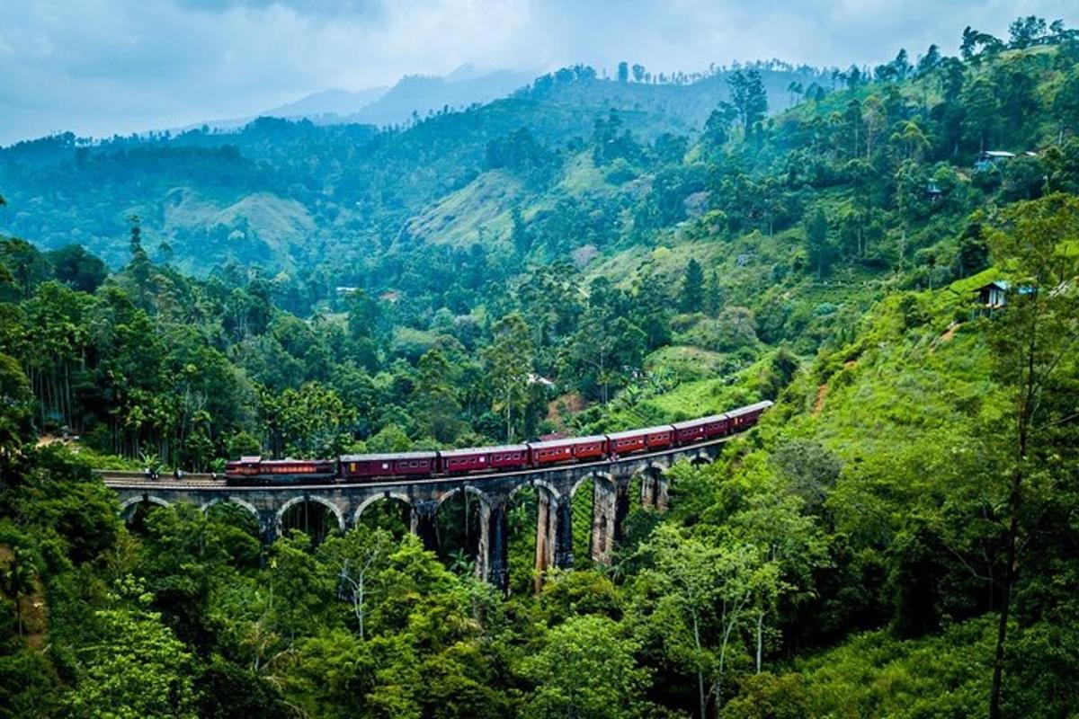 un tren en un pont a les muntanyes