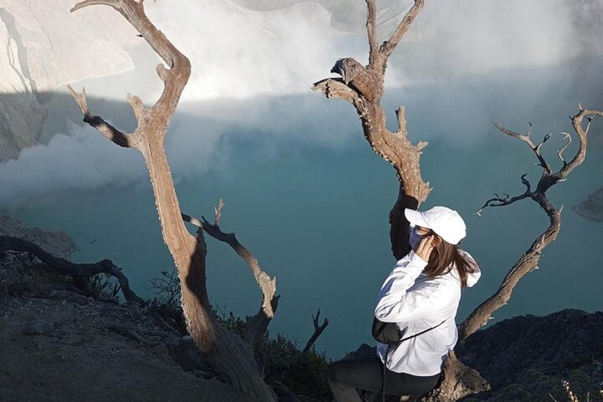 una dona asseguda en un arbre al costat d'un llac