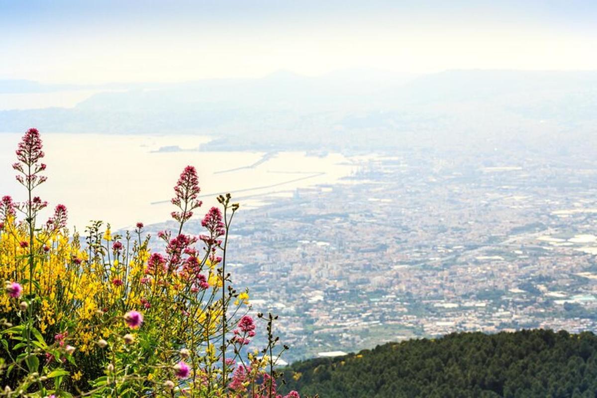 Lankytinos vietos ar pramogos nuotrauka numeris 7