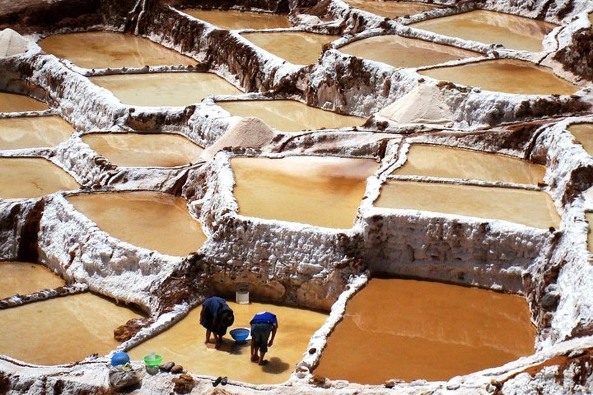 two men are working on a muddy field