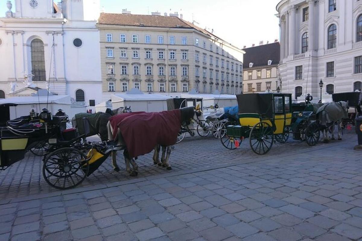 un cavallo che tira una carrozza su una strada cittadina