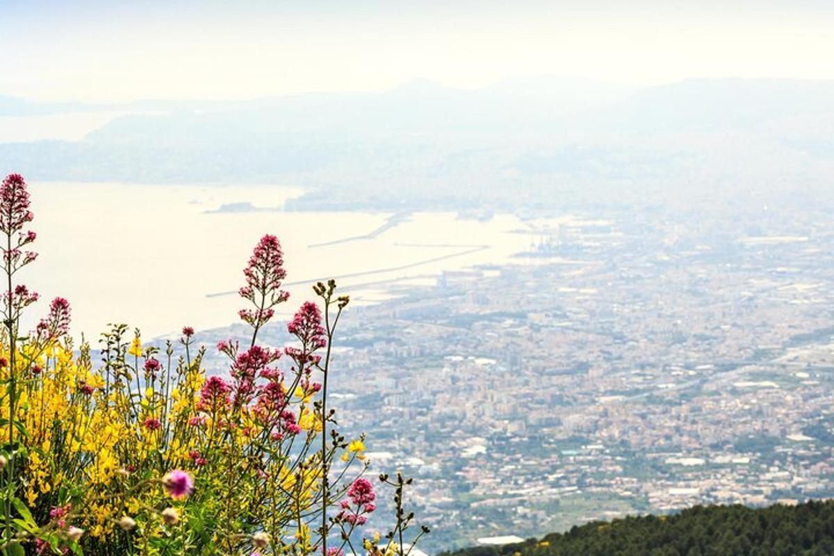 Lankytinos vietos ar pramogos nuotrauka numeris 4