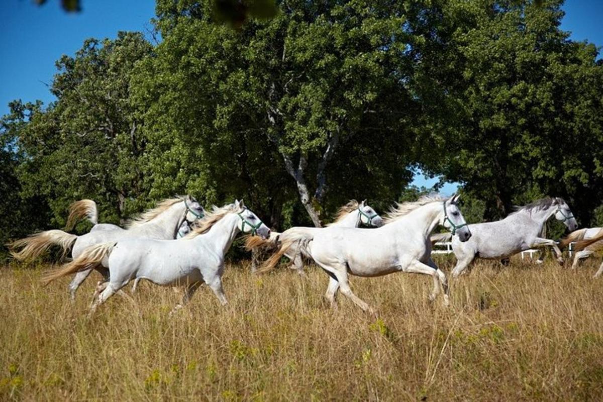 Turistik nokta fotoğrafı 5