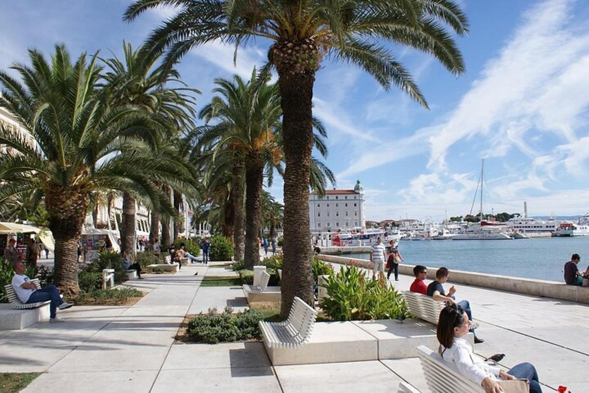 des gens assis sur des bancs au bord de l'eau avec des palmiers