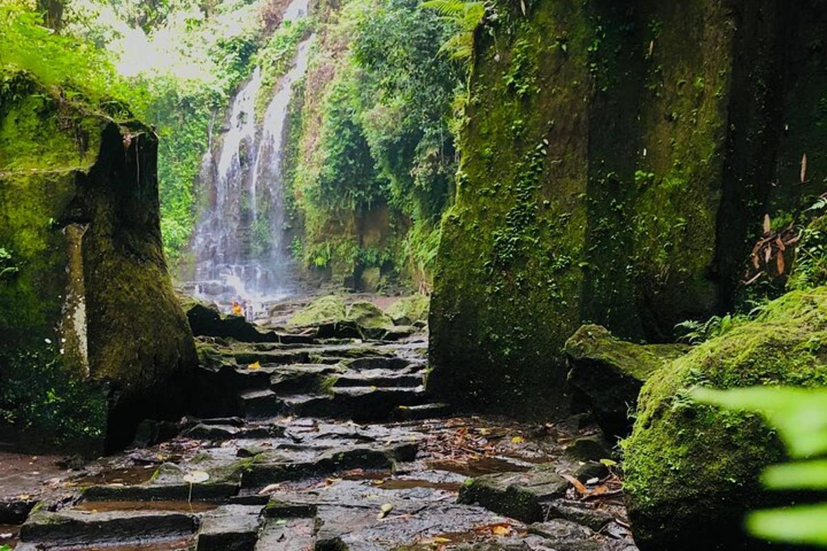 lukisan air terjun di dalam hutan
