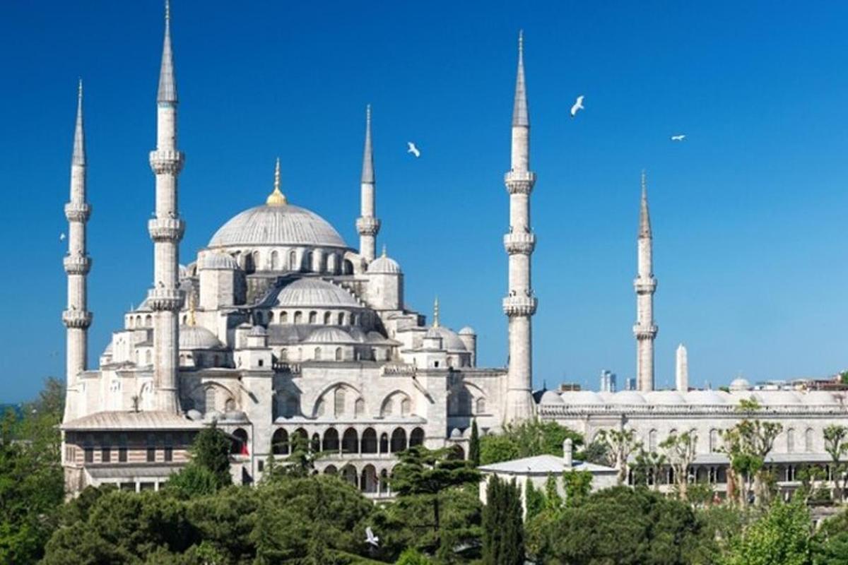 um edifício com duas mesquitas azuis com árvores na frente