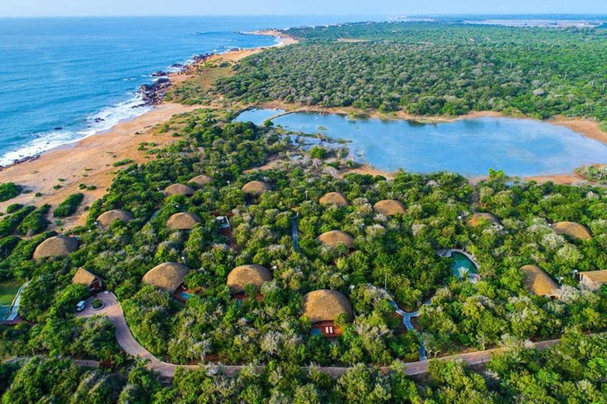 Una vista aérea de una isla con árboles y agua.