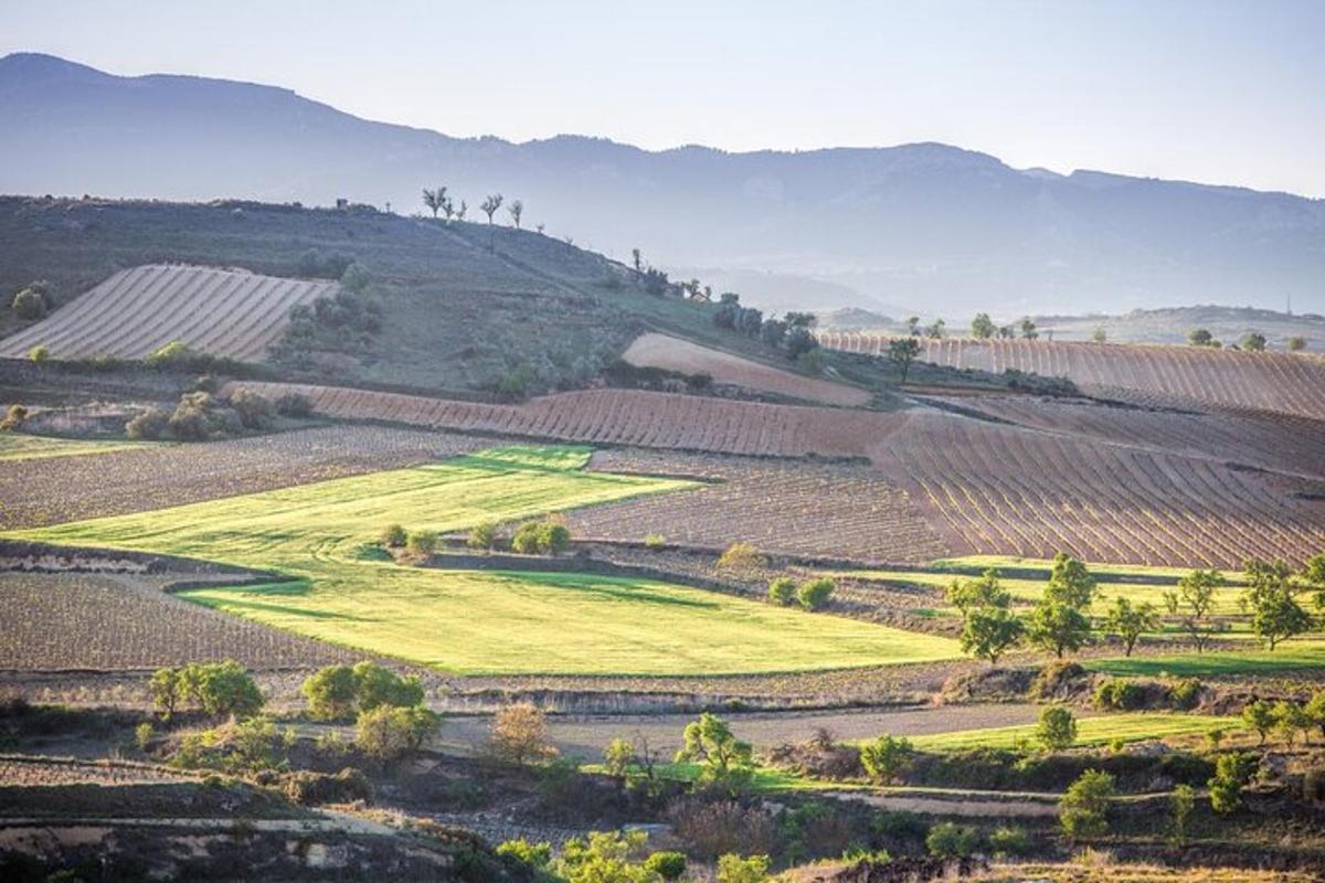 uma vista aérea de um campo verde com montanhas ao fundo