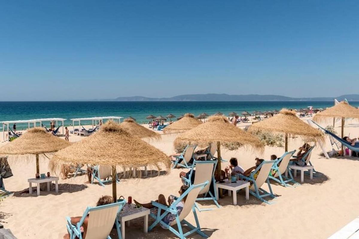 plaža z ljudmi, ki sedijo na stolih in senčnikih