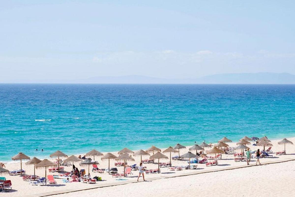 plaža z veliko ležalniki in senčniki ter ocean