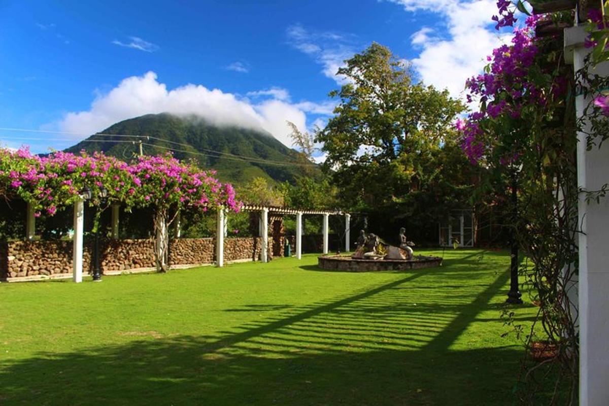 a green yard with a mountain in the background