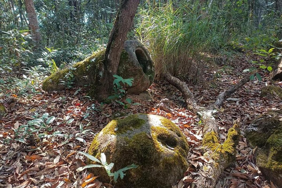 Fotografia da atração 2