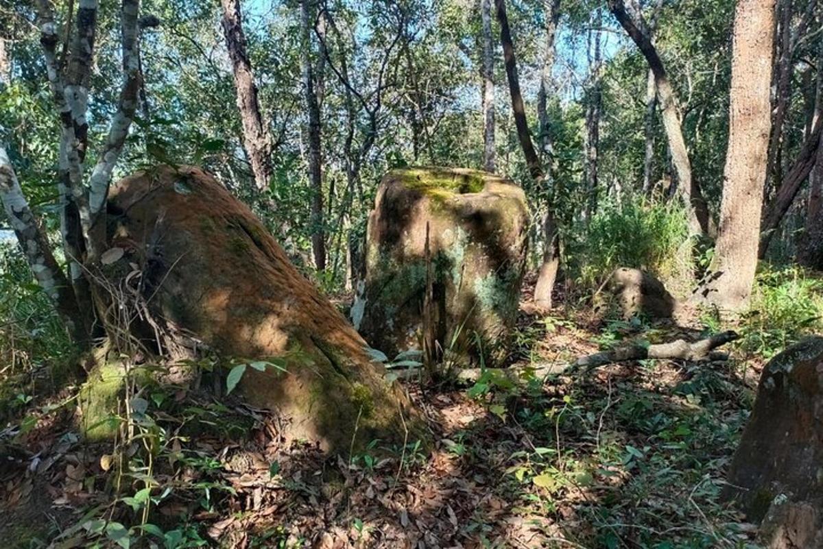 Fotografia da atração 6