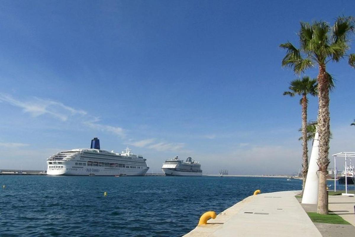 twee cruiseschepen aangemeerd in het water met palmbomen