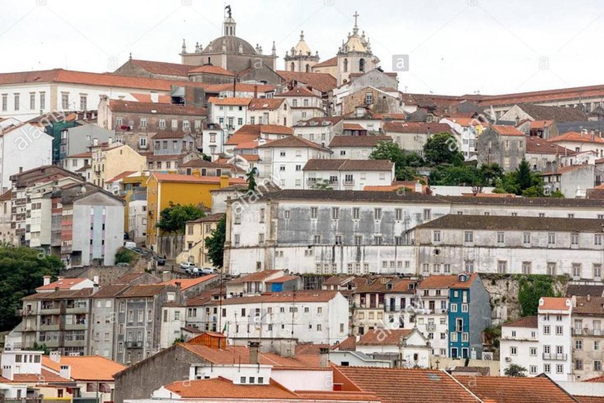 Un montón de edificios en una colina con techos.
