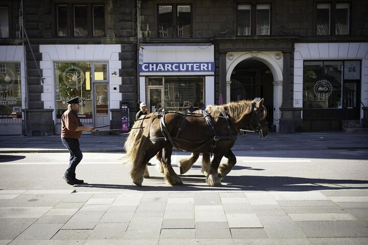 Fotografie atrakce č. 3