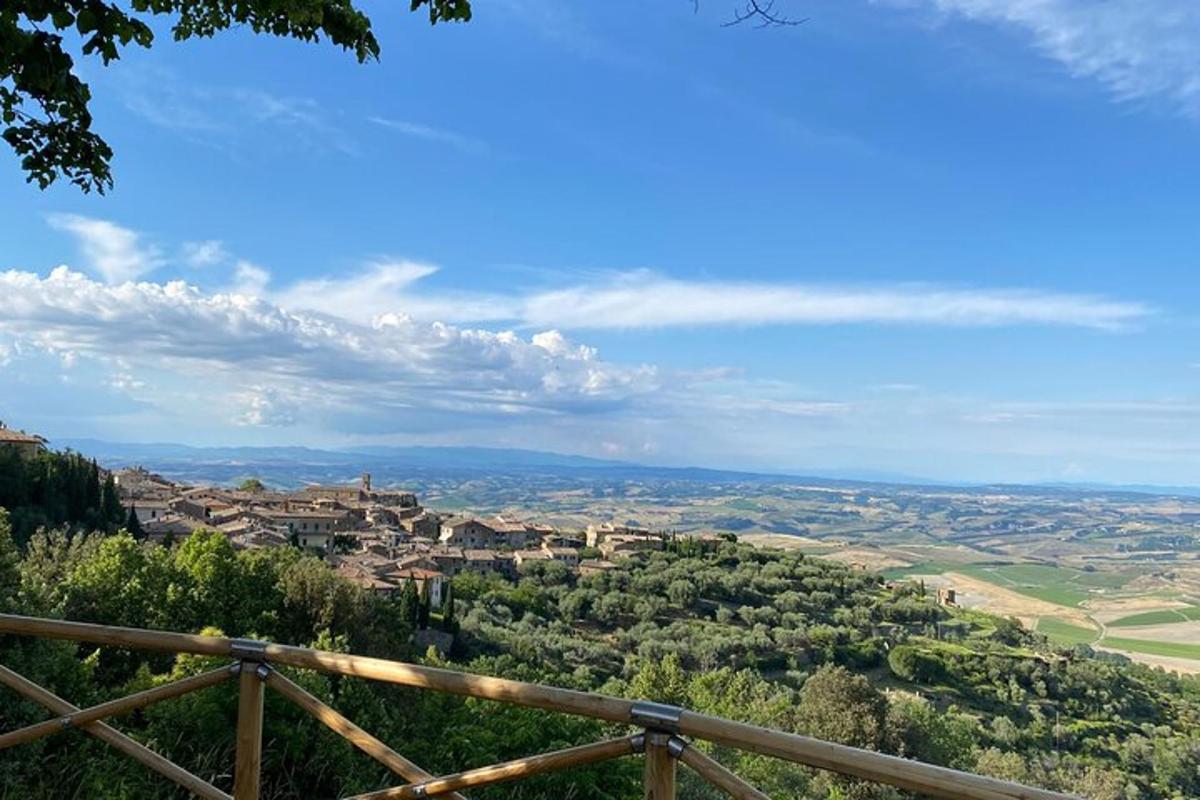 una vista di una valle con case e alberi