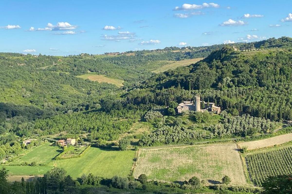 una vista aerea di un castello su una collina