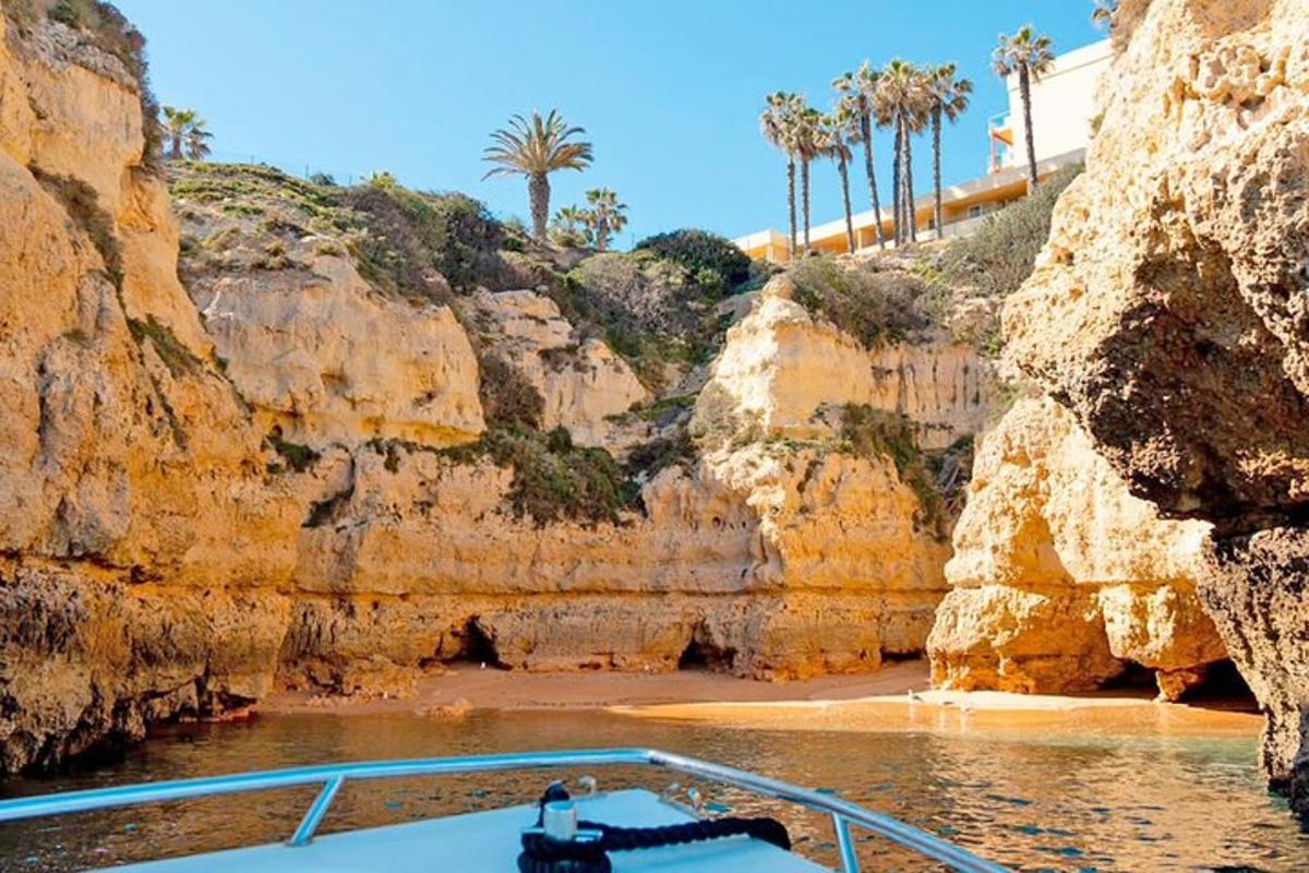 a boat in the water next to a beach with palm trees