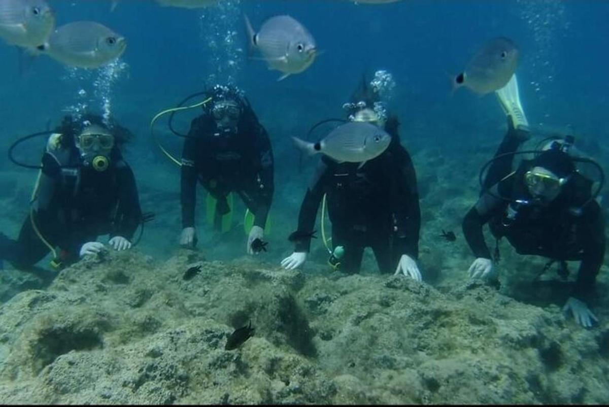 sekumpulan manusia berenang di lautan