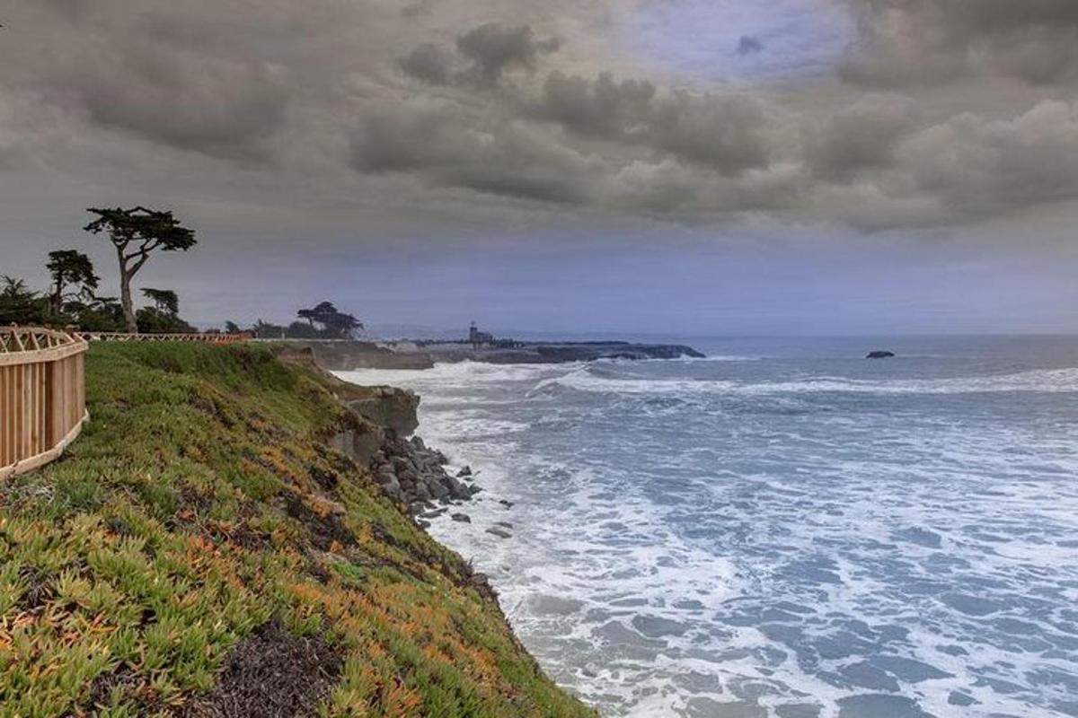 pemandangan laut dengan pohon di tepi pantai