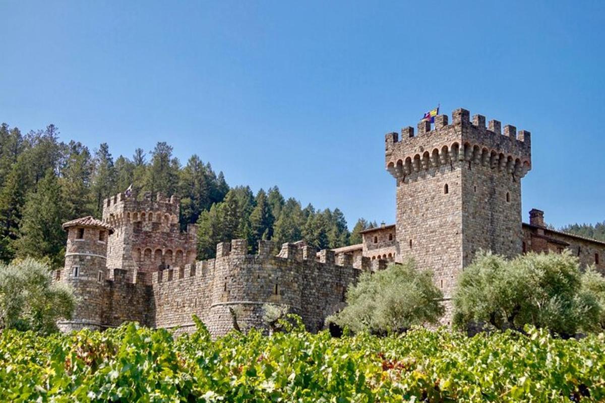 un grande castello con due torri su una collina