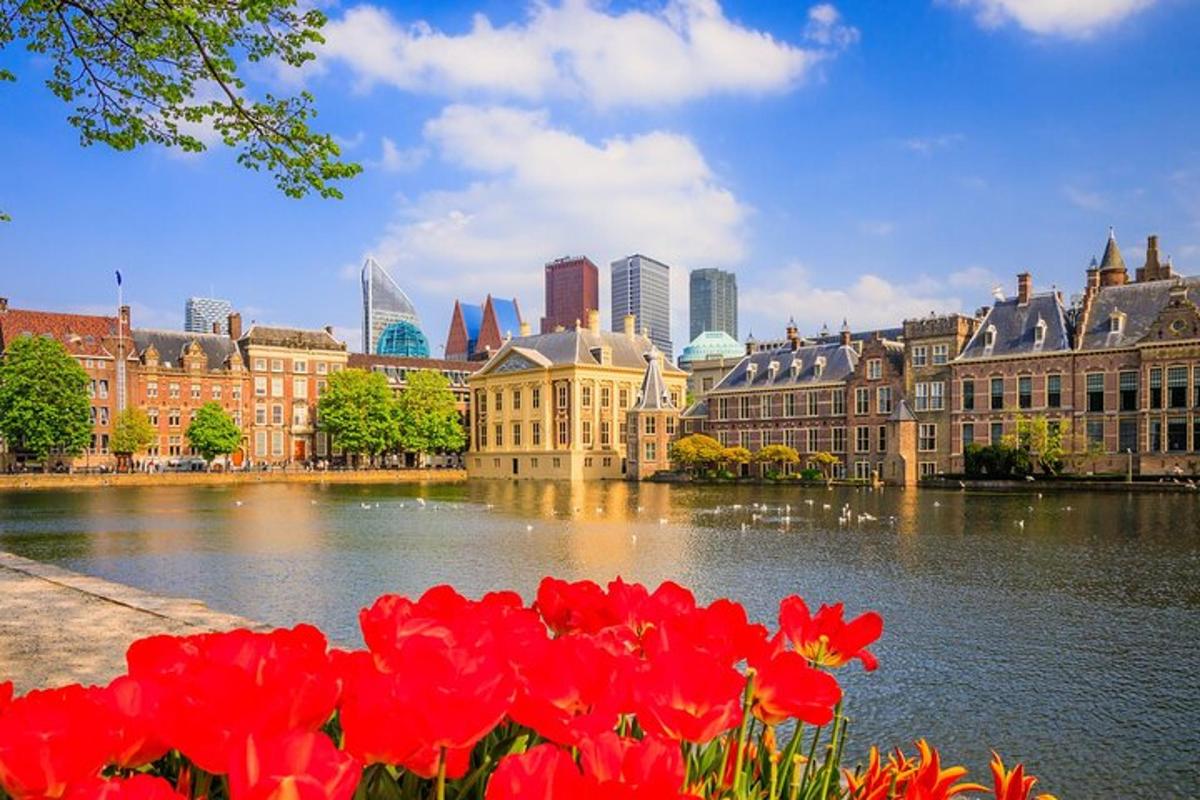 a group of red flowers in front of a river with buildings