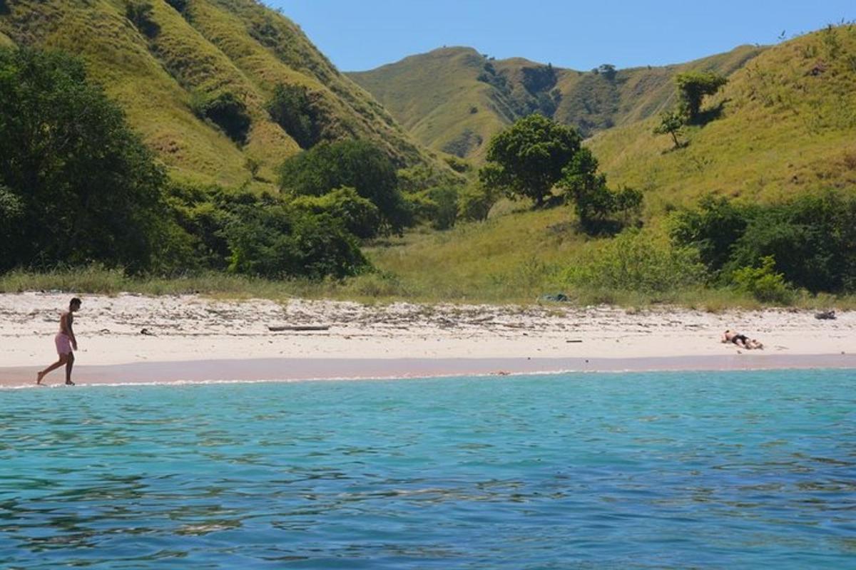 una persona caminando por la playa con un perro
