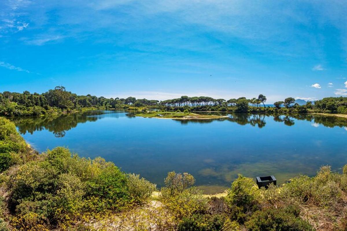 un lago con una barca in mezzo