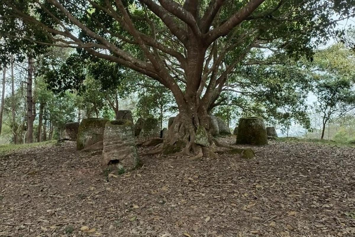 Fotografia da atração 5